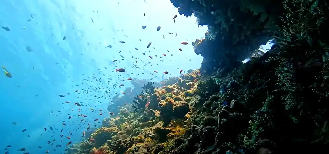 Stay in Amed for Diving