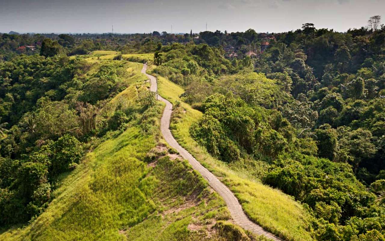 📍 Campuhan Ridge and Sayan - Best for Couples and wellness enthusiasts